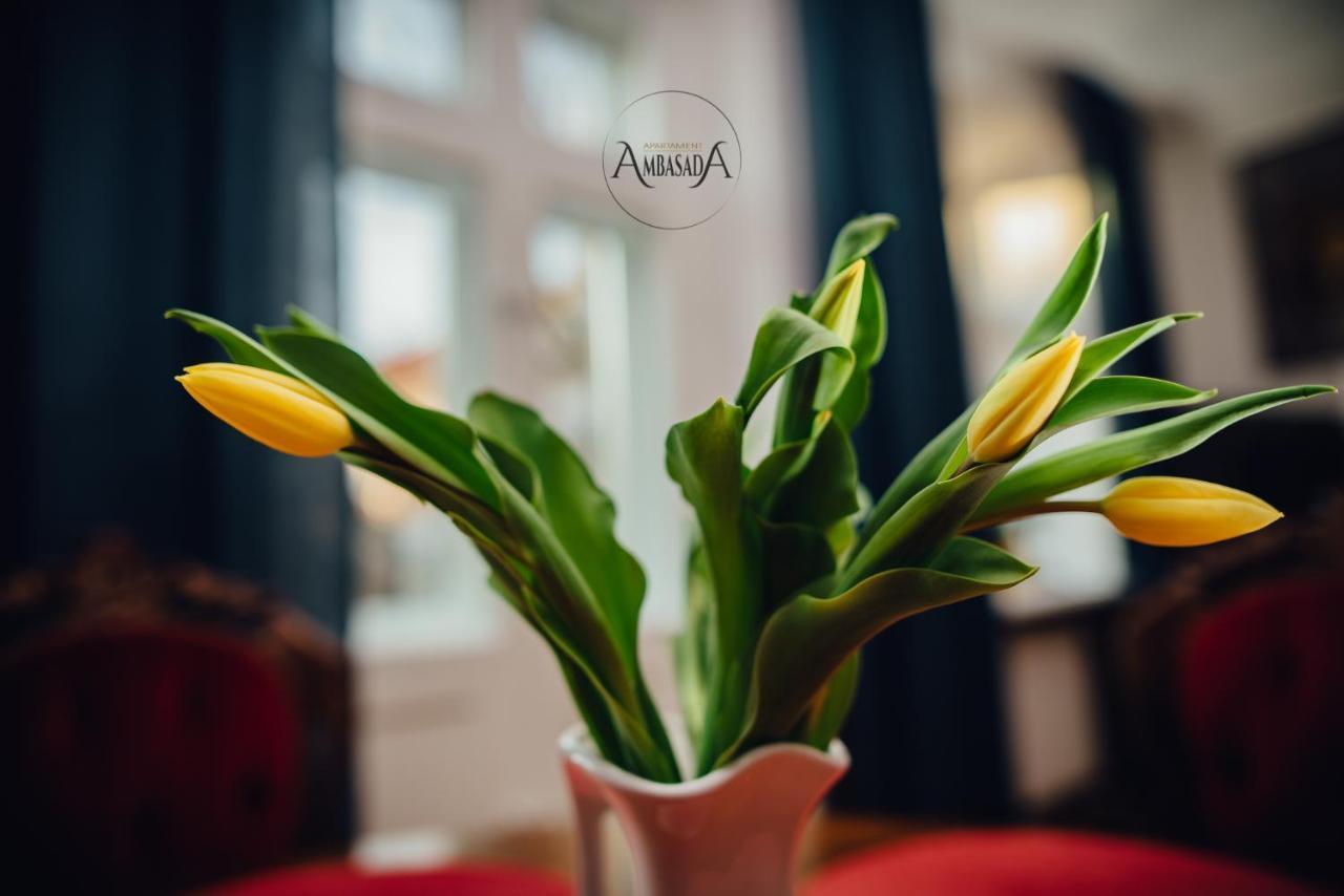 Apartament Ambasada #N/A ภายนอก รูปภาพ